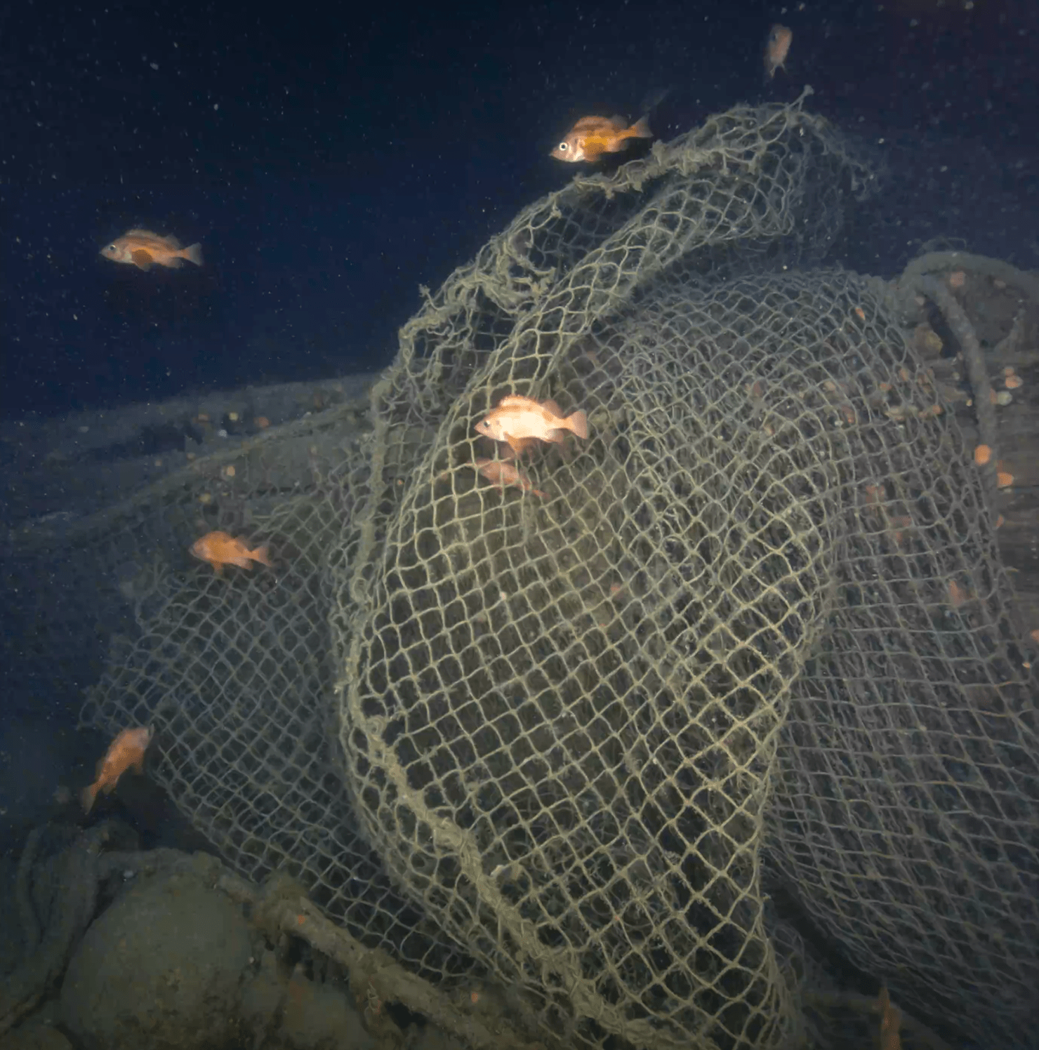 Fishing nets in the remains of the Quest hull