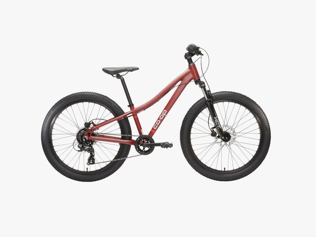 Image may contain: Bicycle, Mountain Bike, Transportation, Vehicle, Machine and Wheel