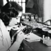 Radiation Fruit: How the ‘Gamma Gardens’ of the 1950s Created Today’s Grapefruit