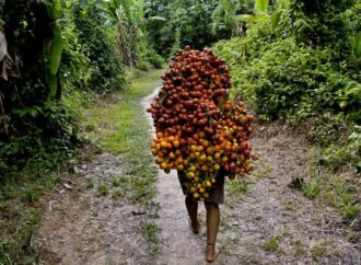 Regenerate relationships between people and nature to counteract biocultural erosion in the Amazon