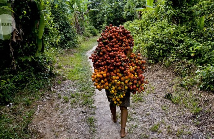 Regenerate relationships between people and nature to counteract biocultural erosion in the Amazon