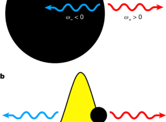 Reverse reaction of stimulated Hawking radiation in an optical analog – Nature