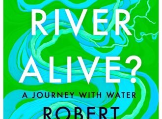 Rights for the rivers and ice cream for all: the best readings for the summer holidays