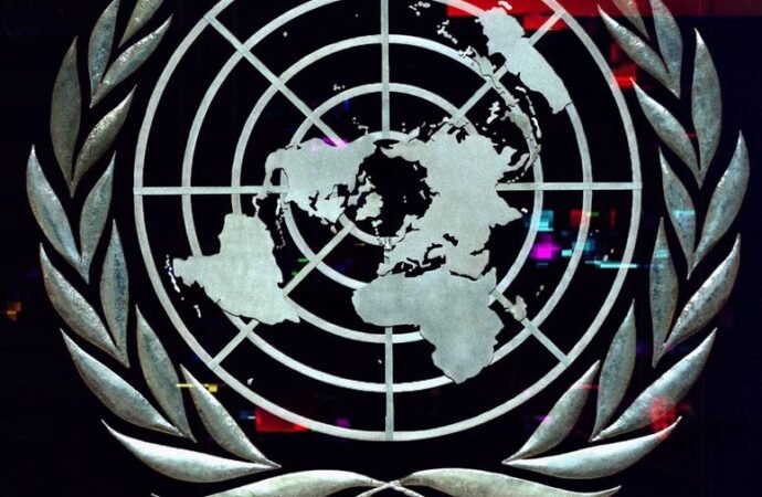 Robot dogs, Teslas and rescue helicopters: the UN AI summit was a lot