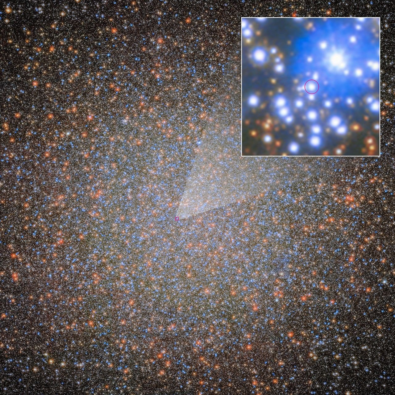 A Hubble image of the globular star cluster Omega Centauri, which looks like a dense field of stars. Some stars appear a little bigger and brighter than others; most appear blue, orange or yellow. The colors appear evenly distributed, like grains of sand. The stars toward the center of the cluster are closer together, creating a brighter area in the core of the globular cluster. A small red square frame overlaps the group near the center of the image. It connects to a drop-down box in the upper right corner, which shows the outlined area in greater detail. Between the blue and orange stars is a small bluish-white dot highlighted by a small red circle.