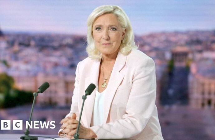 See: Marine Le Pen confirms her candidacy for the French presidency