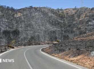 Seriously burned British couple rescued from ravine during wildfires in Spain