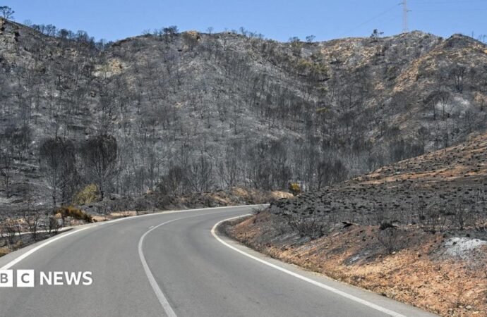 Seriously burned British couple rescued from ravine during wildfires in Spain