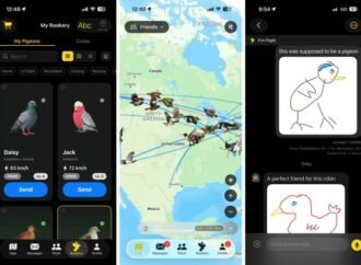 ‘Slow-cial’ Roost app forces you to slow down to the speed of a carrier pigeon | TechCrunch