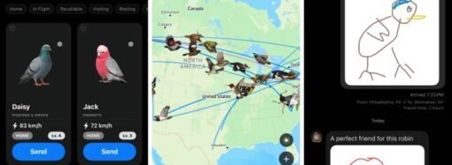 ‘Slow-cial’ Roost app forces you to slow down to the speed of a carrier pigeon | TechCrunch