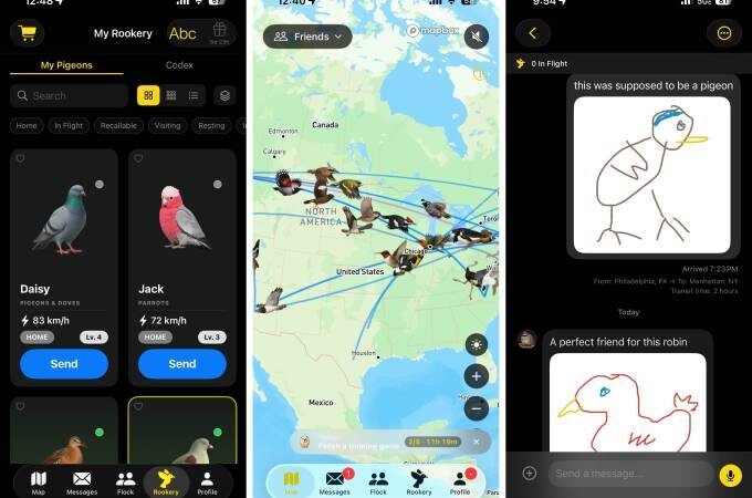 ‘Slow-cial’ Roost app forces you to slow down to the speed of a carrier pigeon | TechCrunch