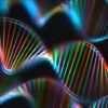 Strange enzyme CRISPR kills cancer cells by destroying their DNA