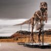 T. rex fossil could become the most expensive dinosaur ever sold