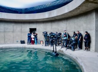 ‘The Black Demon: Atlantis’: the making of a shark thriller at 8,600 feet above sea level in Colombia