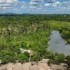 The Brazilian Amazon suffers a sharp decrease in the burned area in 2025