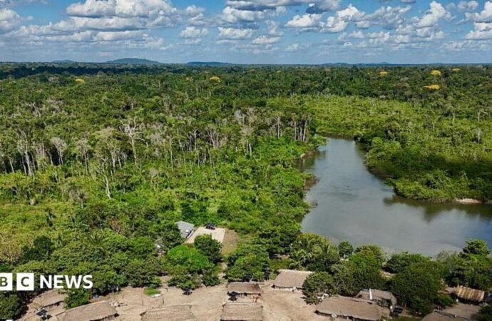 The Brazilian Amazon suffers a sharp decrease in the burned area in 2025