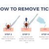 The Dos and Don’ts of Removing a Tick