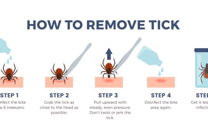 The Dos and Don’ts of Removing a Tick