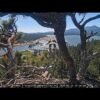 The Luna Eagle takes a ‘leap of faith’