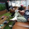 The great success of Fox’s marketing for the World Cup: influencers
