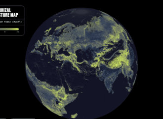 There is a global network of fungi under your feet. This is the first complete map
