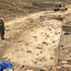 Toothed Human Ancestor May Have Traveled in All-Male Herds