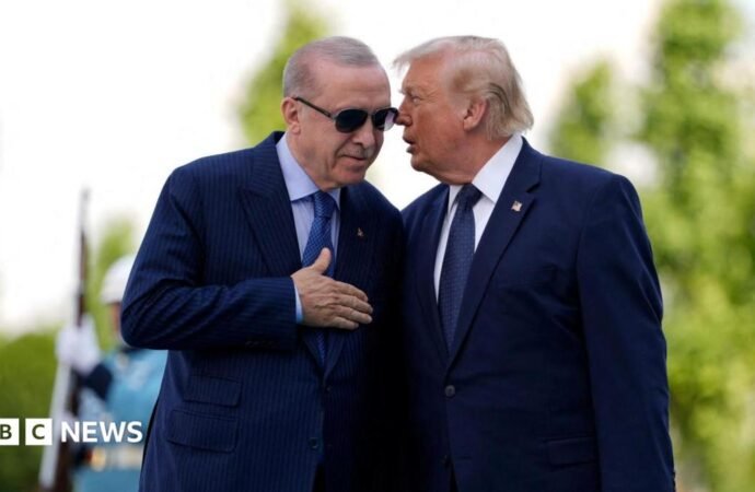 Trump rises to prominence as NATO faces challenge of rearming Europe