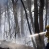 Twelve people die in forest fire in Spain as heat wave continues in southern Europe