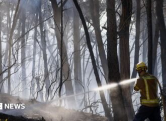 Twelve people die in forest fire in Spain as heat wave continues in southern Europe