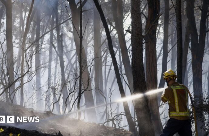 Twelve people die in forest fire in Spain as heat wave continues in southern Europe