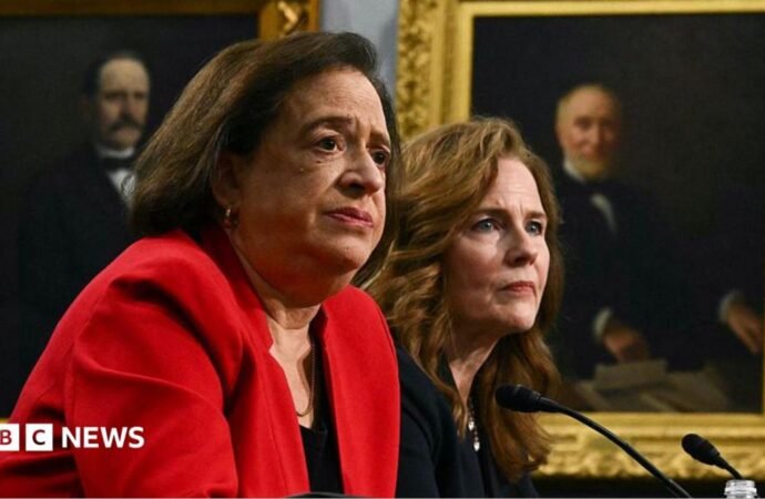 US Supreme Court justices describe bulletproof vests and the ‘coup’ hoax