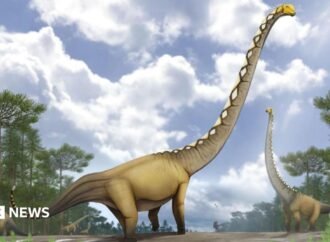 Uragasaurus kalasinensis: new dinosaur discovered in Thailand