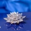 Vikram-1: India’s first private space rocket from Skyroot carrying a diamond flower
