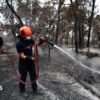 Volunteer firefighter suspected of causing devastating forest fire in France