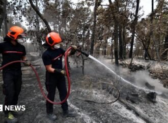 Volunteer firefighter suspected of causing devastating forest fire in France