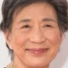 Wai Ching Ho, veteran actor who appeared in ‘Daredevil’ and ‘Iron Fist’, dies at 82