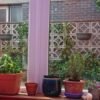We bought a house and regretted it after 2 years. We now own an apartment.