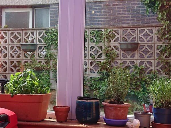 We bought a house and regretted it after 2 years. We now own an apartment.