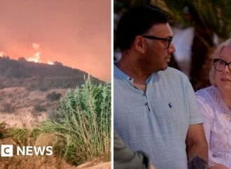 ‘We escaped the Spanish forest fire, but our friends lost their lives’