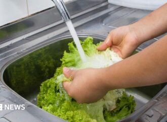 What to know about the outbreak of the ‘explosive diarrhea’ parasite cyclospora in the US.