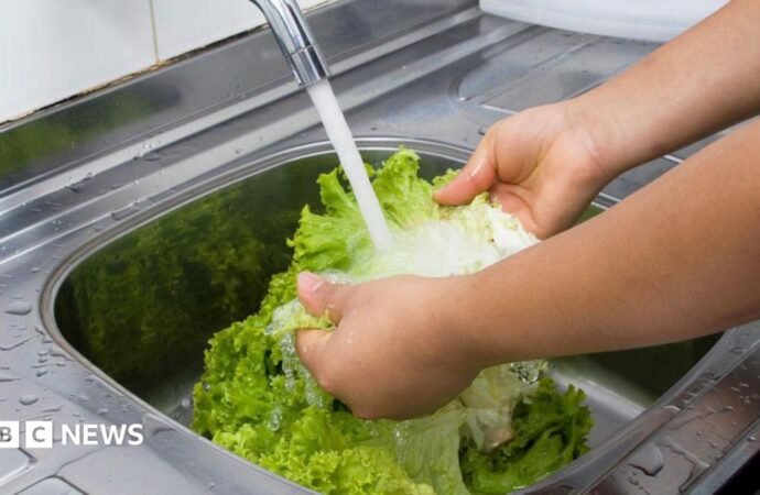 What to know about the outbreak of the ‘explosive diarrhea’ parasite cyclospora in the US.