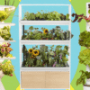 Which indoor gardening system is worth the price? I tried them all