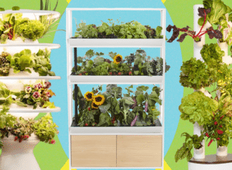 Which indoor gardening system is worth the price? I tried them all