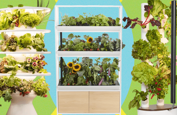 Which indoor gardening system is worth the price? I tried them all