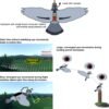Why researchers gave pigeons tiny backpacks