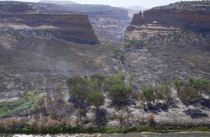 Wildfire southwest of Denver forces thousands to evacuate, destroys 160 structures