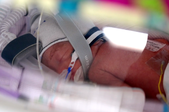The healthy, identical quadruplets were born at 28 weeks and four days.