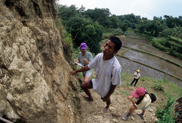 Four people investigate exposed rock layers, with a rice field in the background.