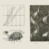 Early television set impresses Nature editors — but will it catch on?