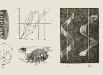 Early television set impresses Nature editors — but will it catch on?